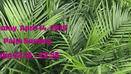 April 14, 2018 - Palm Sunday - 9:30 am